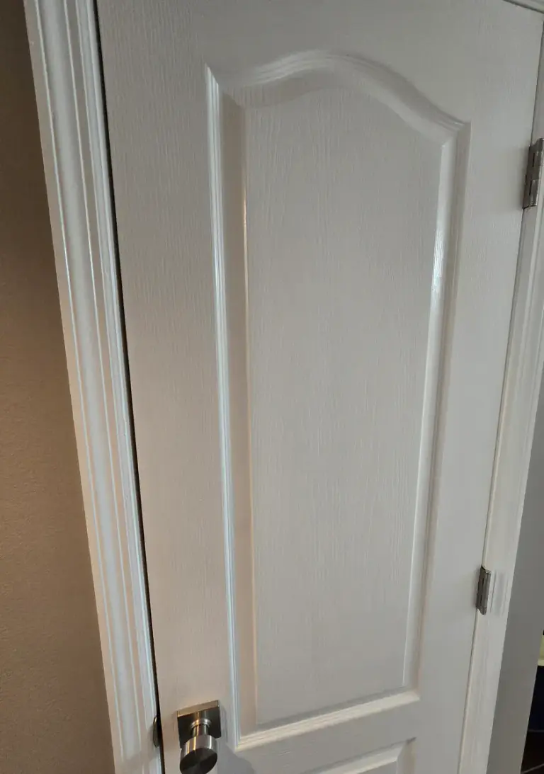 Close view of a white paneled interior door, casing, and brushed-metal hardware